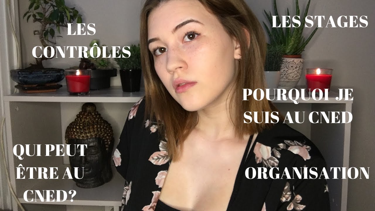 BILAN COMPLET : BTS NDRC AU CNED (PREMIERE ANNEE)