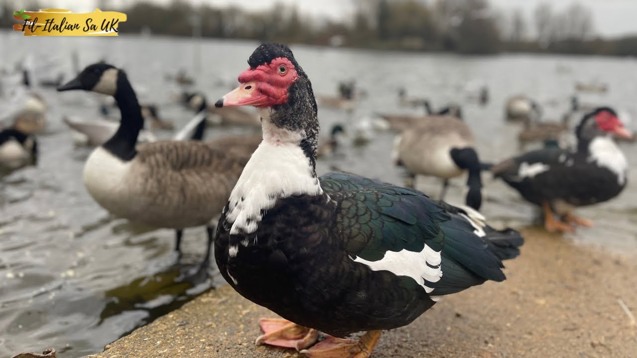 Nature Discovery Centre 2023 | England