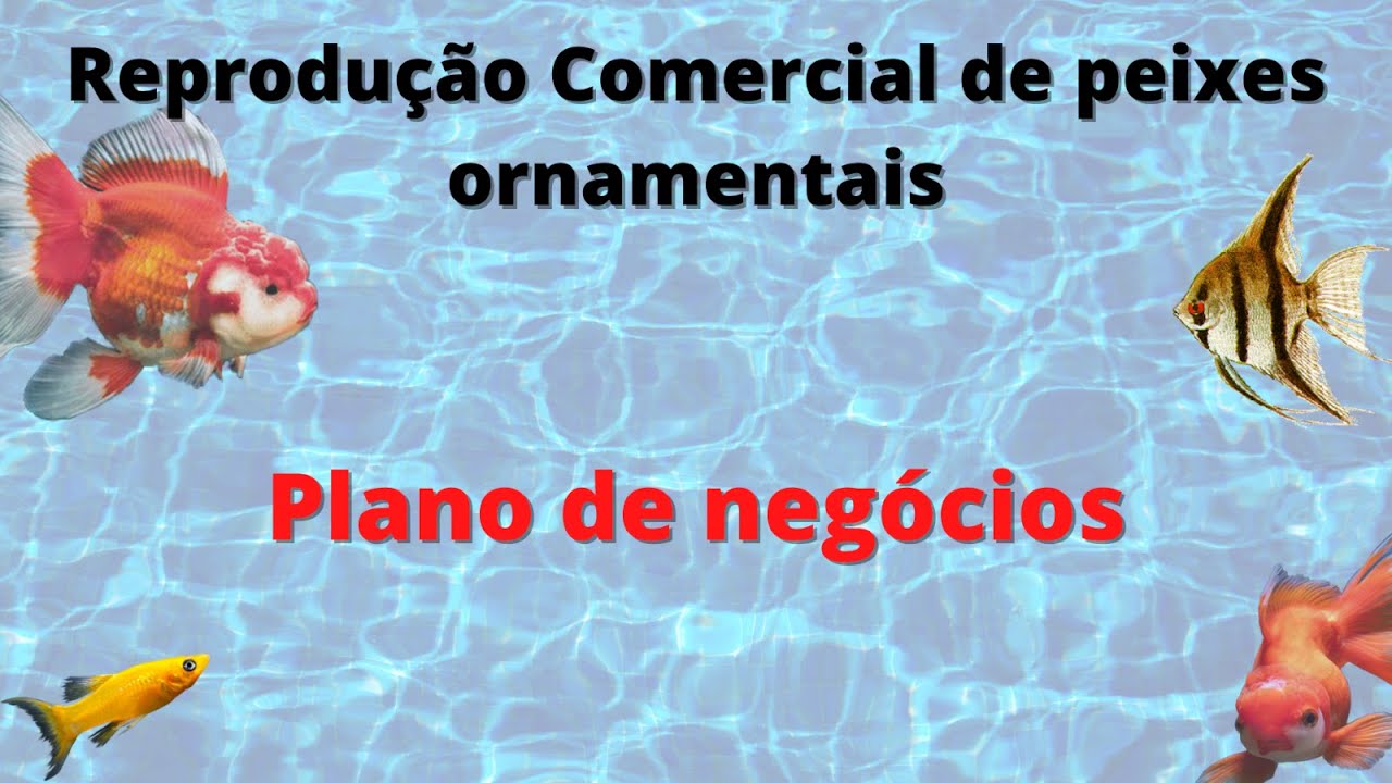 Reprodução comercial de peixes ornamentais - Plano de negócios