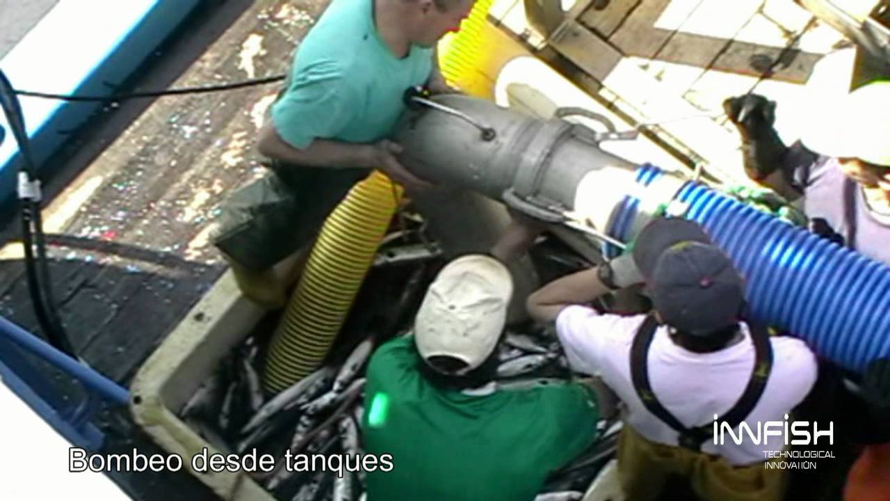 Bombeo de pescado en buque de cerco