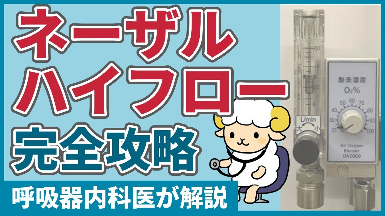 【30分で初心者を卒業】ネーザルハイフローの完全講義