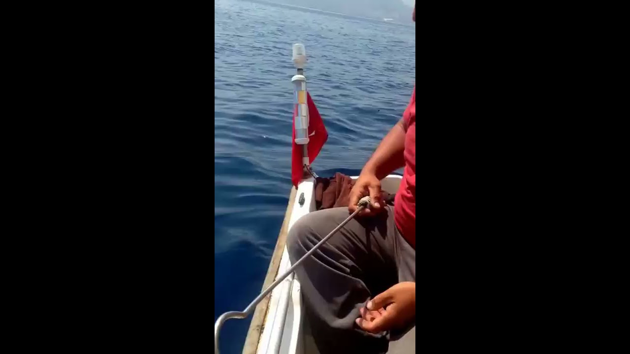 Bu Defa 400 Metre Derinlikten Pertlek Yerine Mezgit &Ccedil;ıktı.!!
