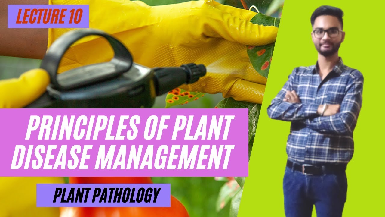 Principles of Plant Disease Management | Plant Pathology | Lecture 10 | Abhay Sarva Sir