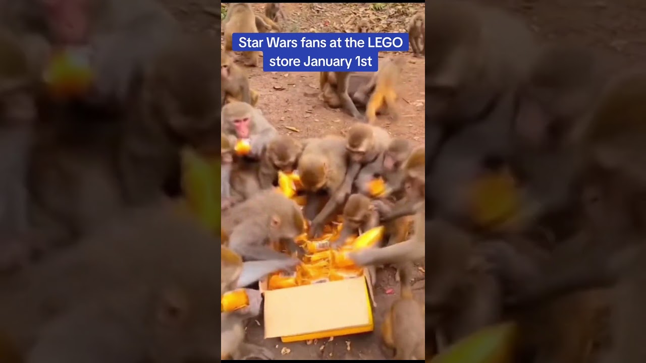 Who's getting a battle pack? 