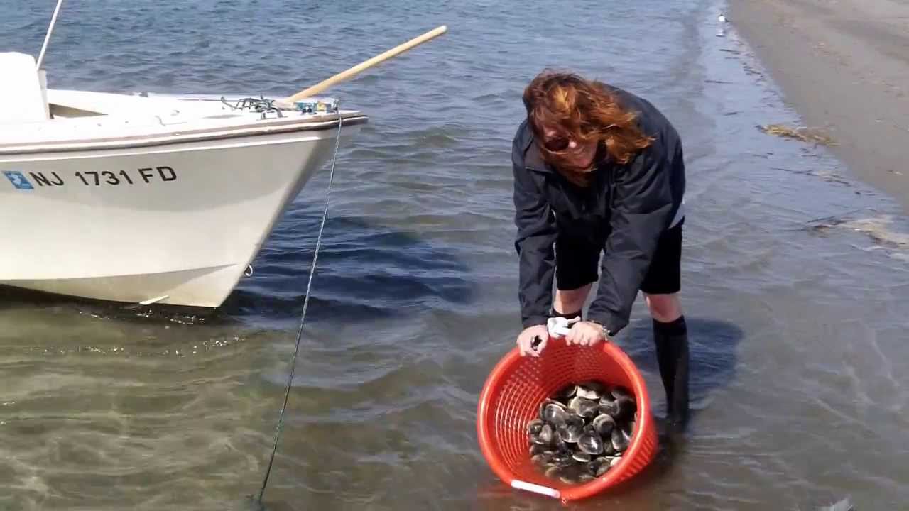 Detecting Clams With The Clam Whisperer 4-09-2013