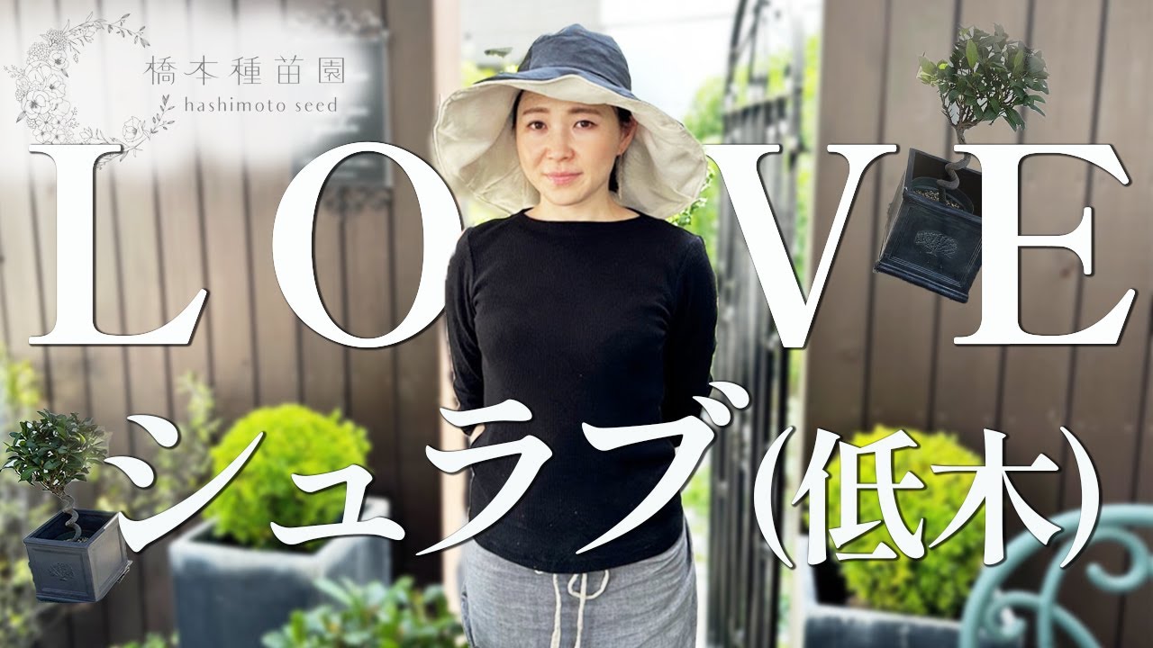 【お庭を彩る】おすすめ低木をご紹介♪