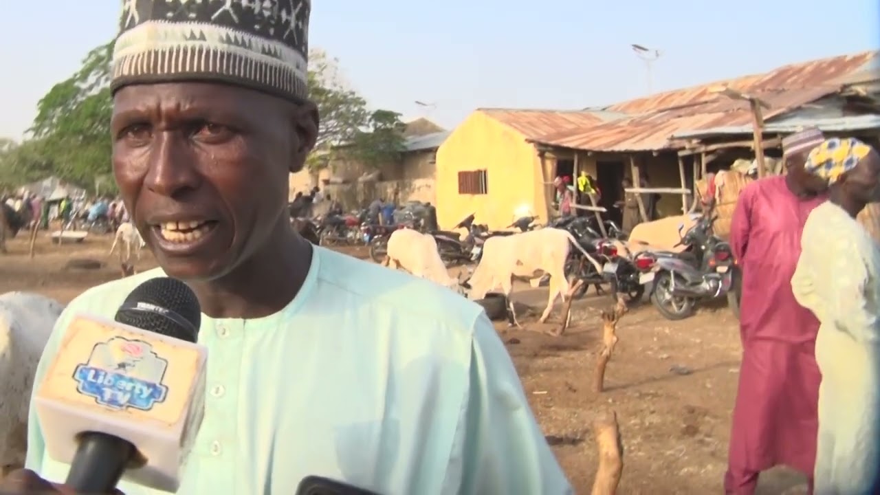 MATSALAR TSARO: ZAMFARA. REPORT.Yan bindiga sunyi awon gaba da shanu dari hudu (400) a kasuwar daji
