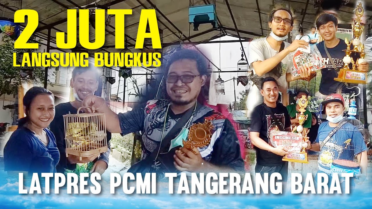 PLECI HARGA 2 JUTA LANGSUNG BUNGKUS DI GANTANGAN | LATPRES PCMI TANGERANG BARAT  | 03-10-2021