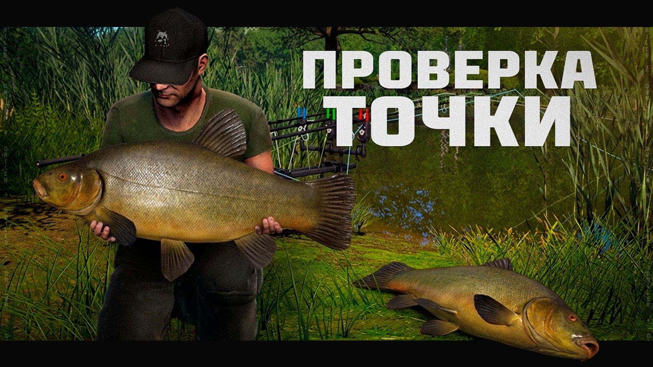 ЛИНЬ КВОЛЬСДОРФСКИЙ НА МЕДНОМ ОЗЕРЕ &bull; Проверка точки