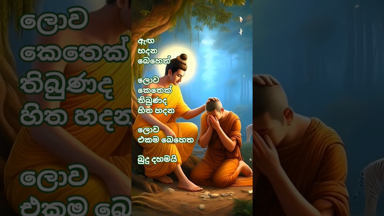 #motivation #goodlife #lifeadvice #dhamma #dhammatalk #lifelessons #lifemotivation