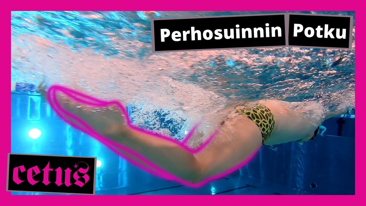 Perhosuinti 3 - Potku