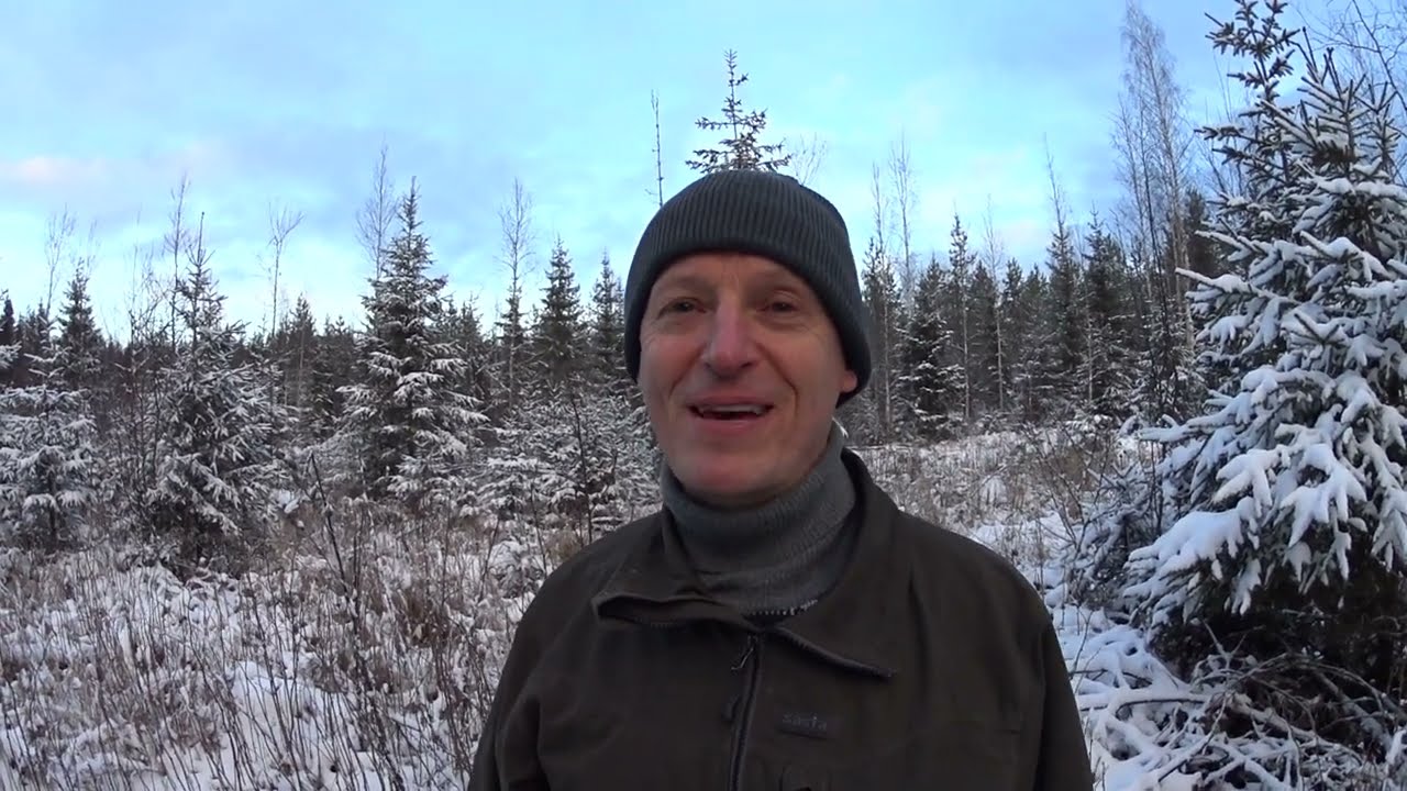 Metsolan Metsäkoulu 239 - Turvemaalla HALPAA uudistamista!