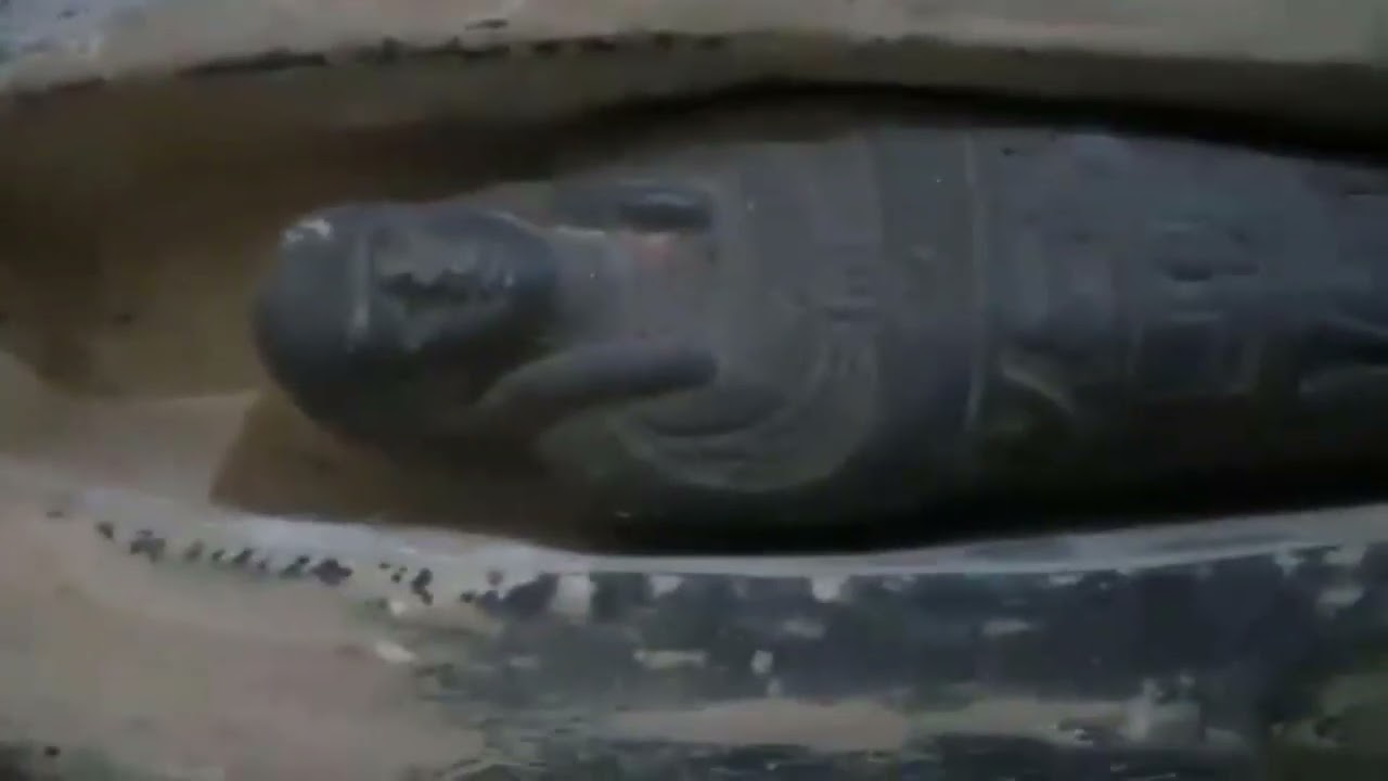 الاثار الأصلية والمزيفة (تدريب 1)