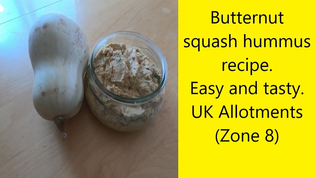 Butternut squash hummus recipe. Easy and tasty. UK Allotments (Zone 8)