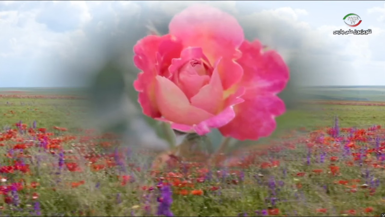سال ۲۵۸۵