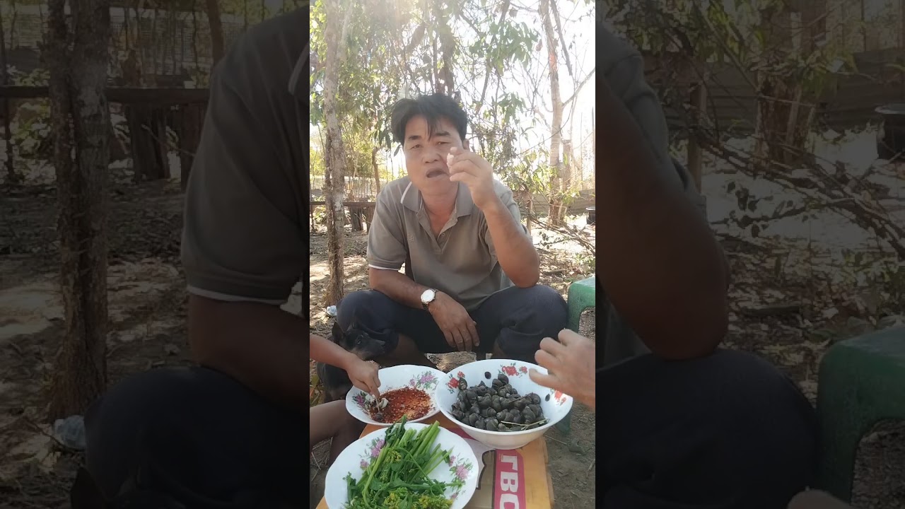 ຫອຍຂົມທຳມະຊາດ