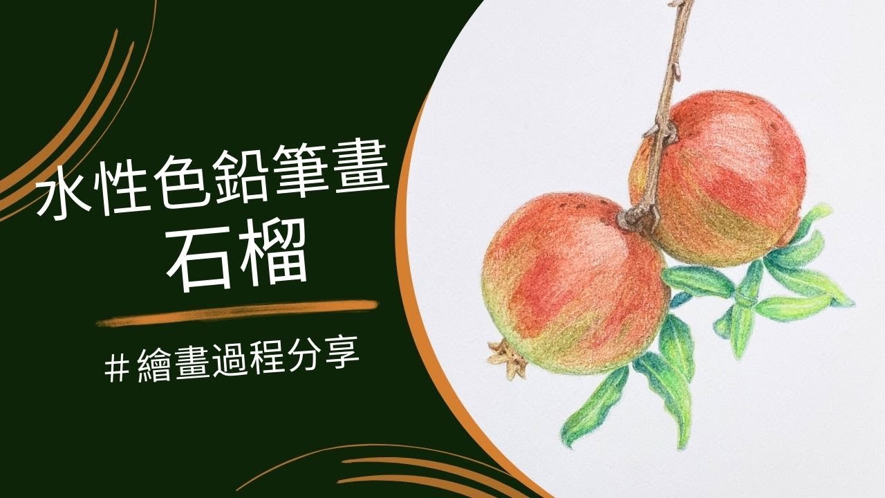水性色鉛筆畫石榴｜繪畫過程分享