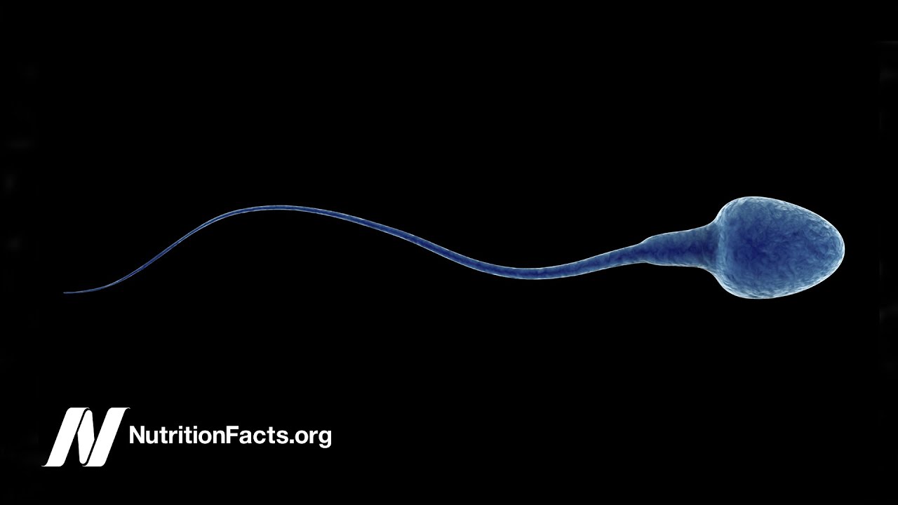 Dairy Estrogen and Male Fertility