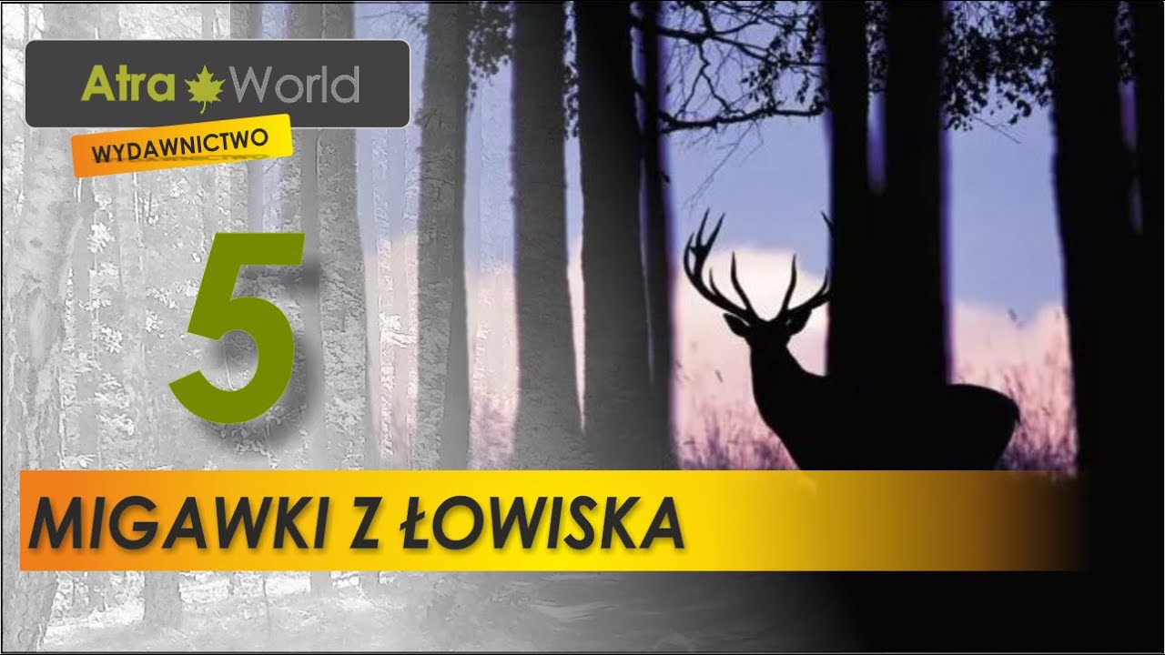 Migawki z łowiska, Polowanie na rykowisku jeleni.