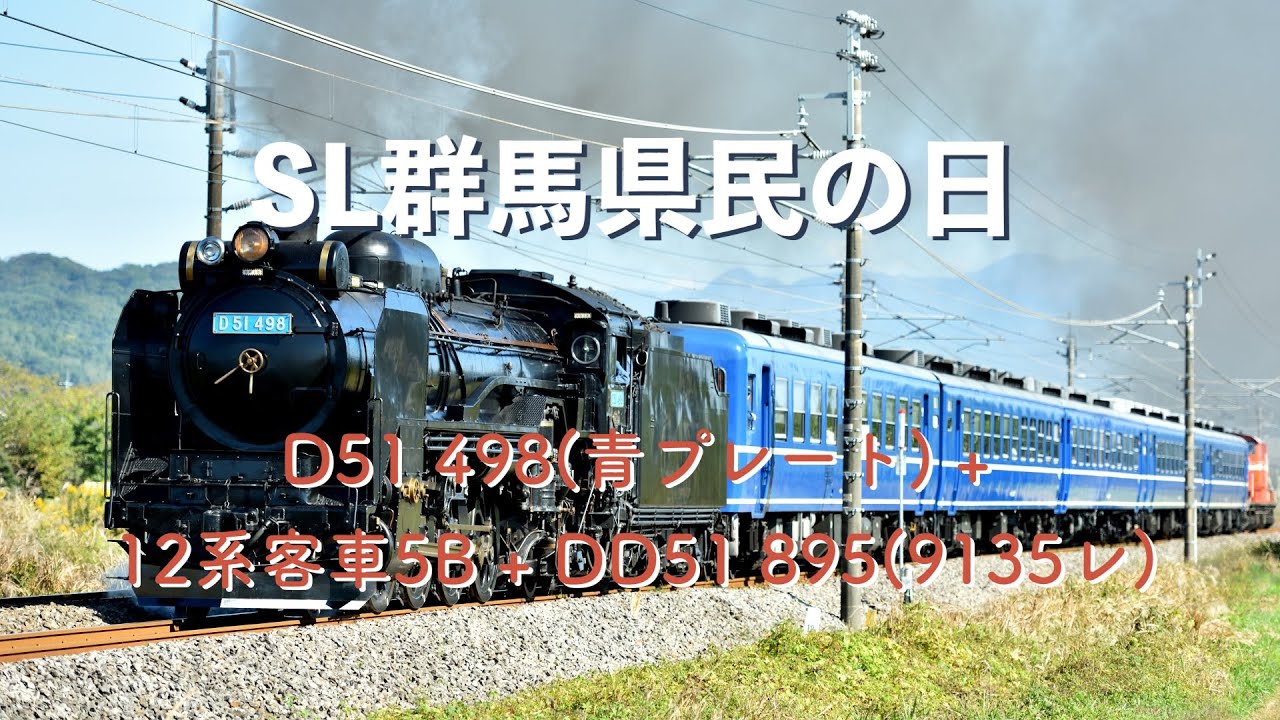 SL群馬県民の日 − D51 498(青プレート) + 12系客車5B + DD51 895(9135レ) #SL群馬県民の日 #D51498 #青プレート #l12系客車 #DD51895