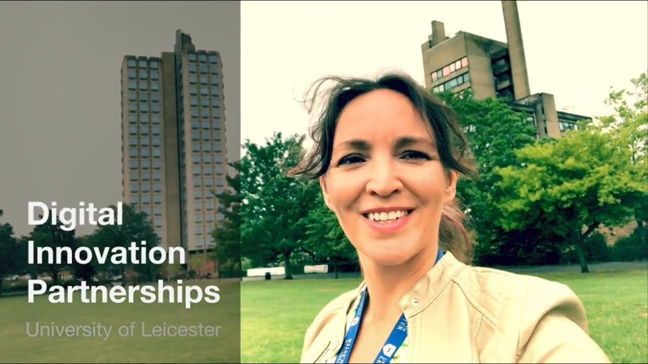 Digital Innovation Partnership: Overview
