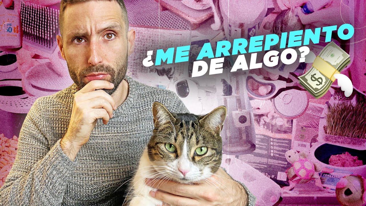 TODO lo que HE GASTADO en MI GATO el primer año 🐱💸 | ¿Lo volvería a comprar?