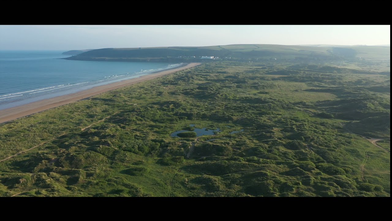 Braunton Burrows Guided Walks