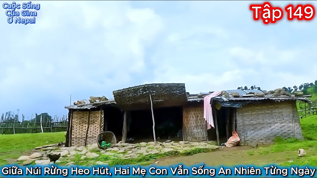 GINA Tập 149 - Giữa Núi Rừng Heo Hút, Hai Mẹ Con Vẫn Sống An Nhiên Từng Ngày