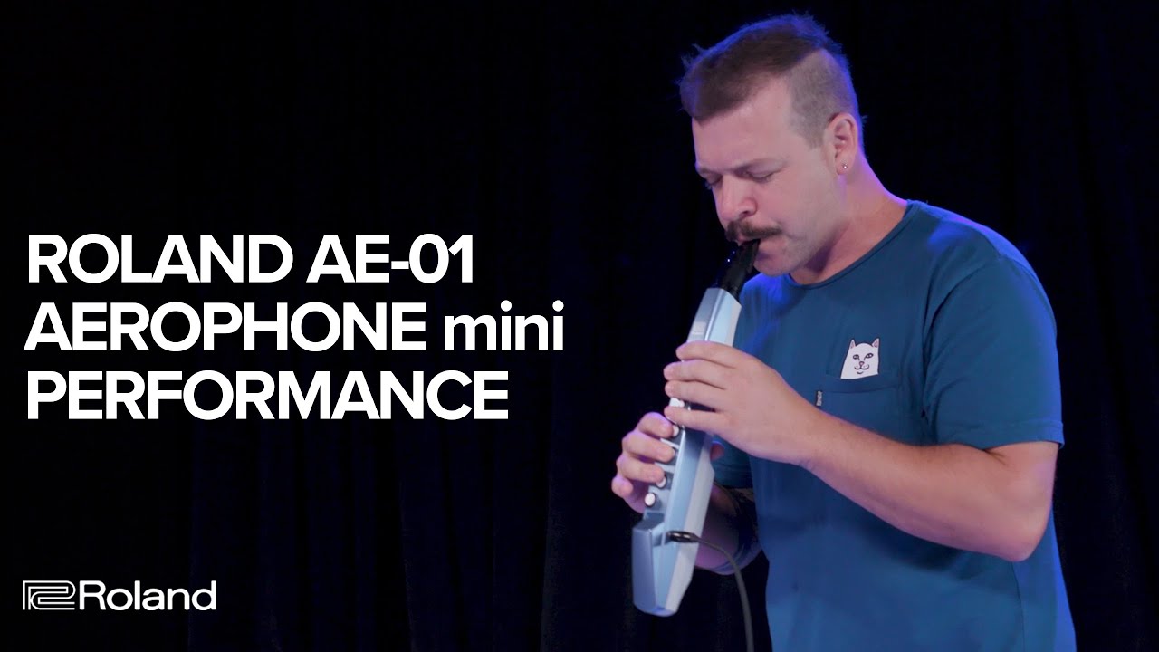 Roland AE-01 Aerophone mini: Performance and Sounds