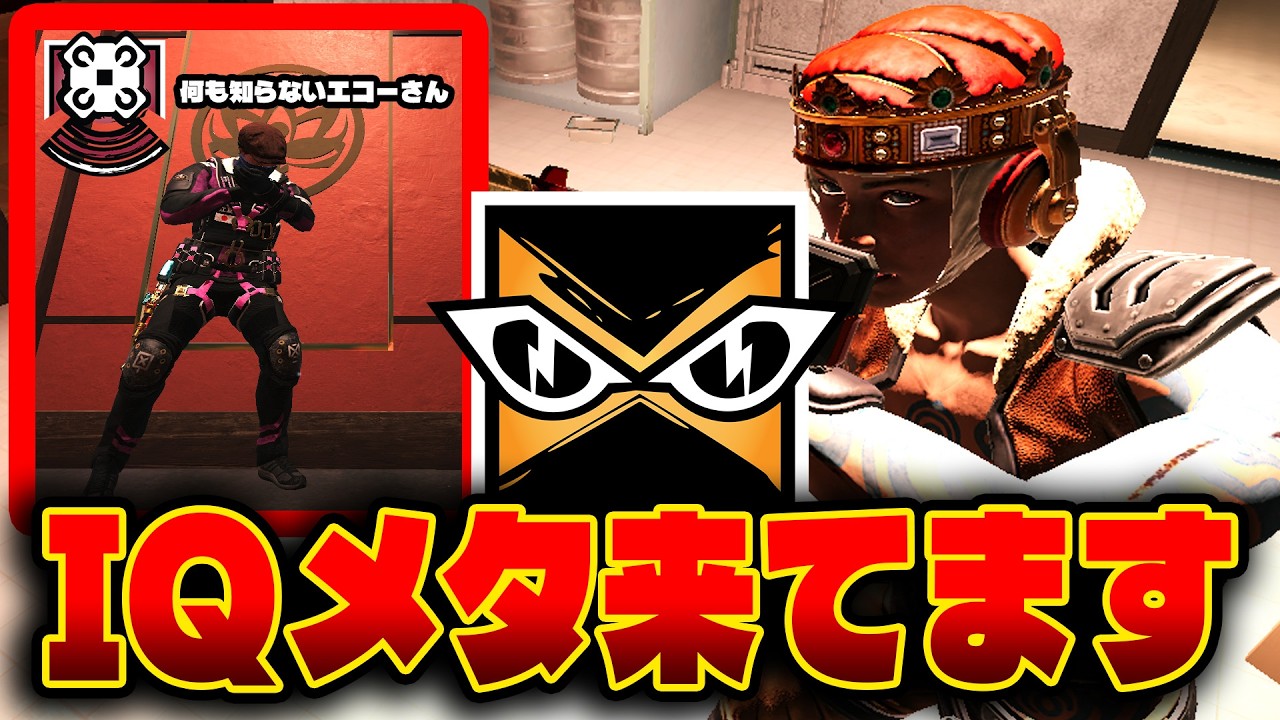 【悲報】強化されたエコーさん IQの養分にされてしまう[R6S] シージX