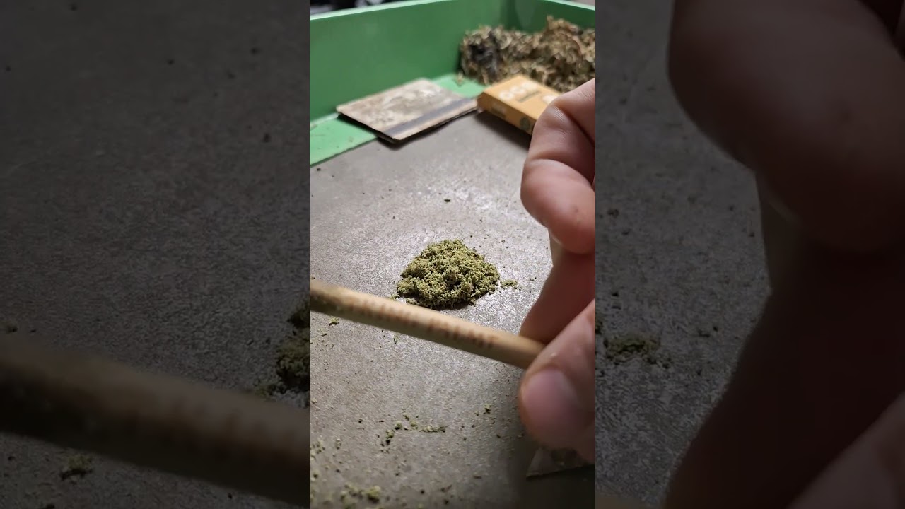 Fastest Roll Job. Roll a cone in under 2 minutes.  OCB Bamboo 1 1/4 How do you roll?