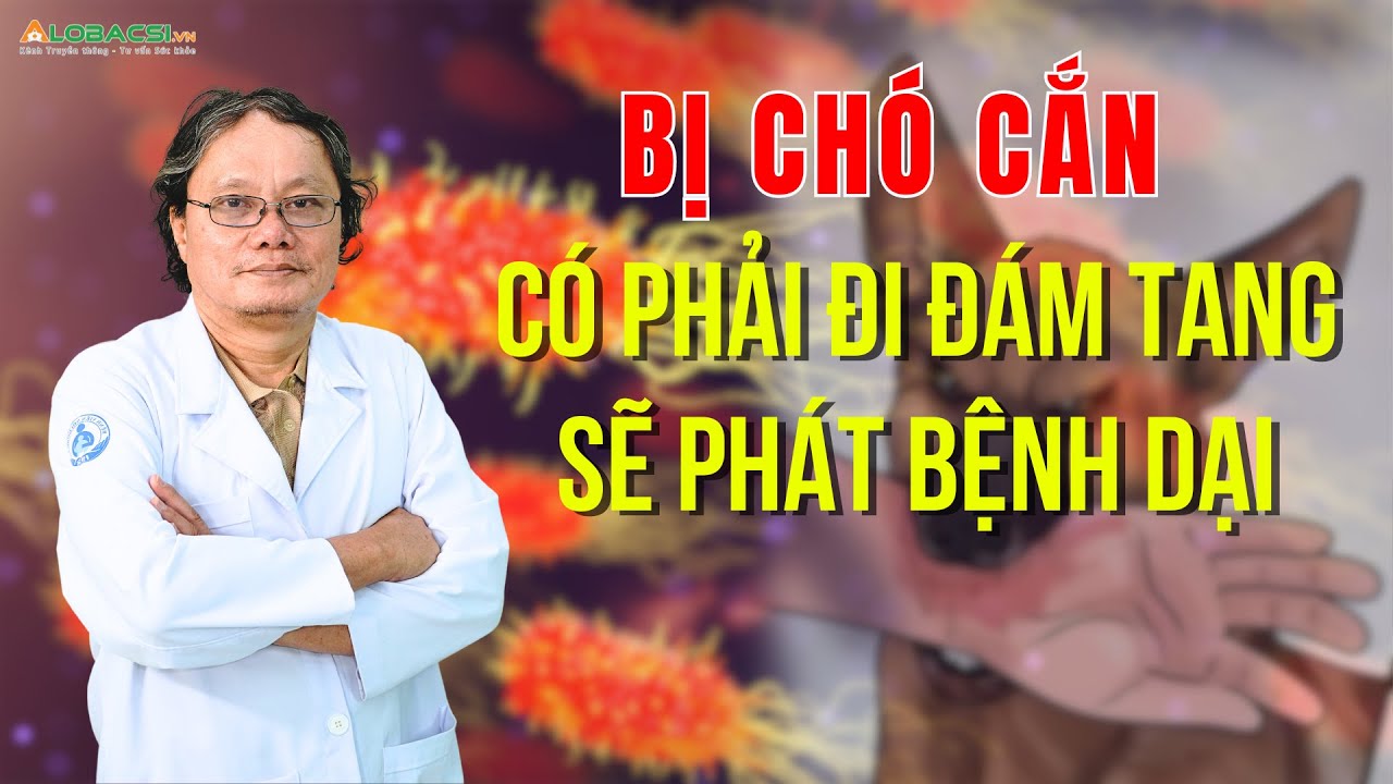 Bị chó cắn, có phải đi đám tang sẽ phát bệnh dại? | BS Trương Hữu Khanh
