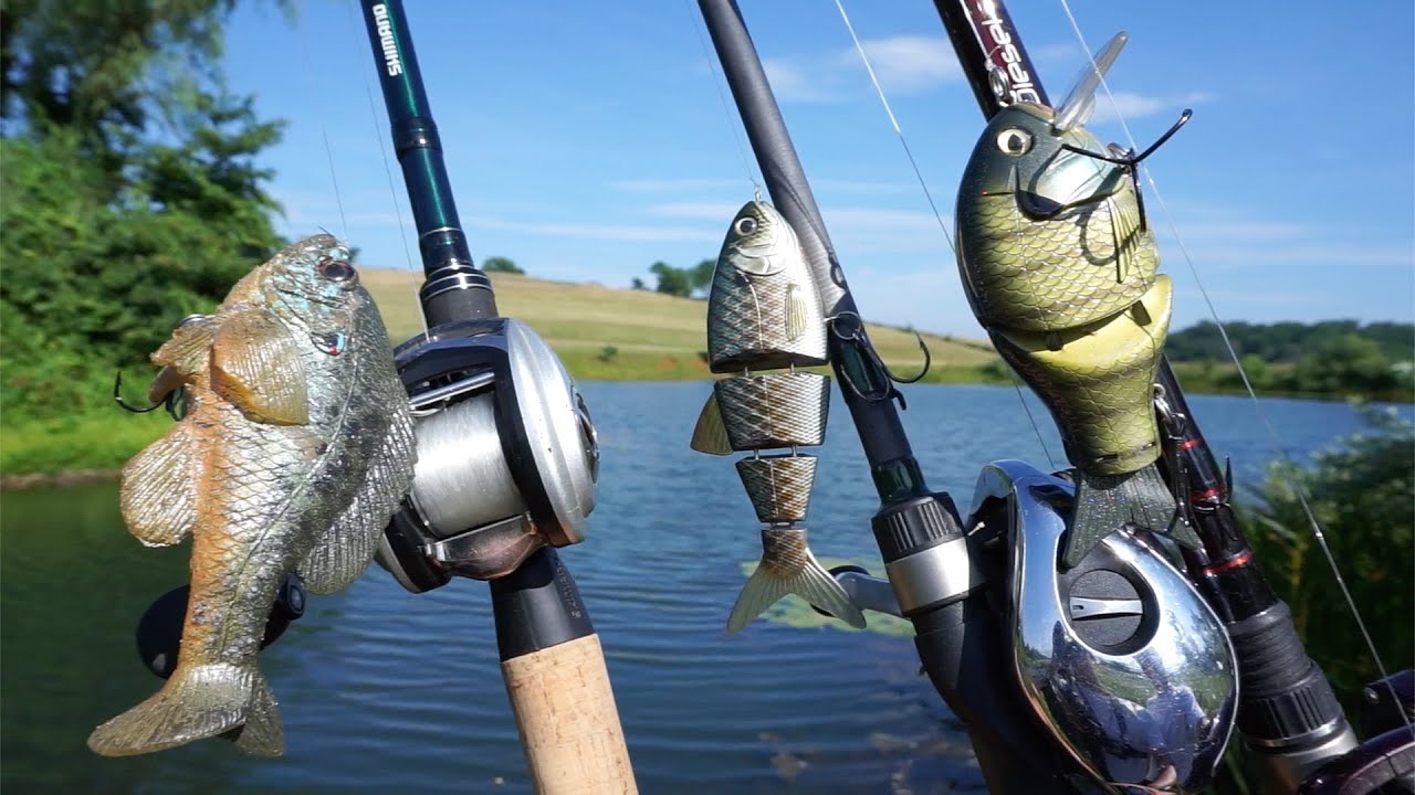 Fishing BIG Swimbaits in a Small Pond?