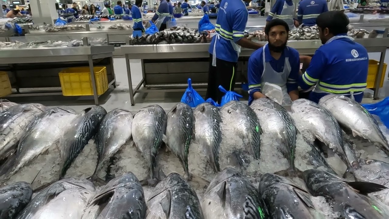 The best Fish Market in dubai pls,visit Mura na mga sariwa pa ang kanilang paninda makakatawad pa