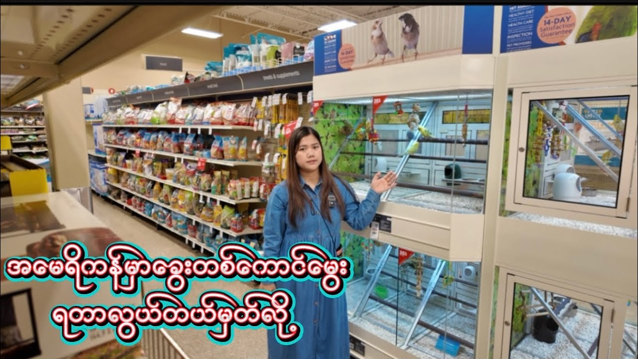 တရိစ္ဆာန်လေးတွေရောင်းတဲ့ဆိုင်လိုက်ပြပေးမယ်နော်