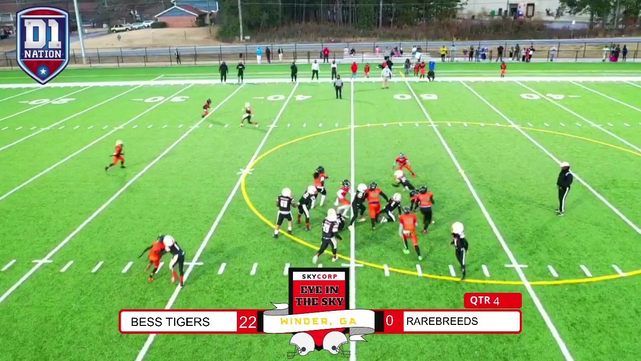 D1 Nation National Championship Games (9u Bess Tigers vs. Rarebreeds)