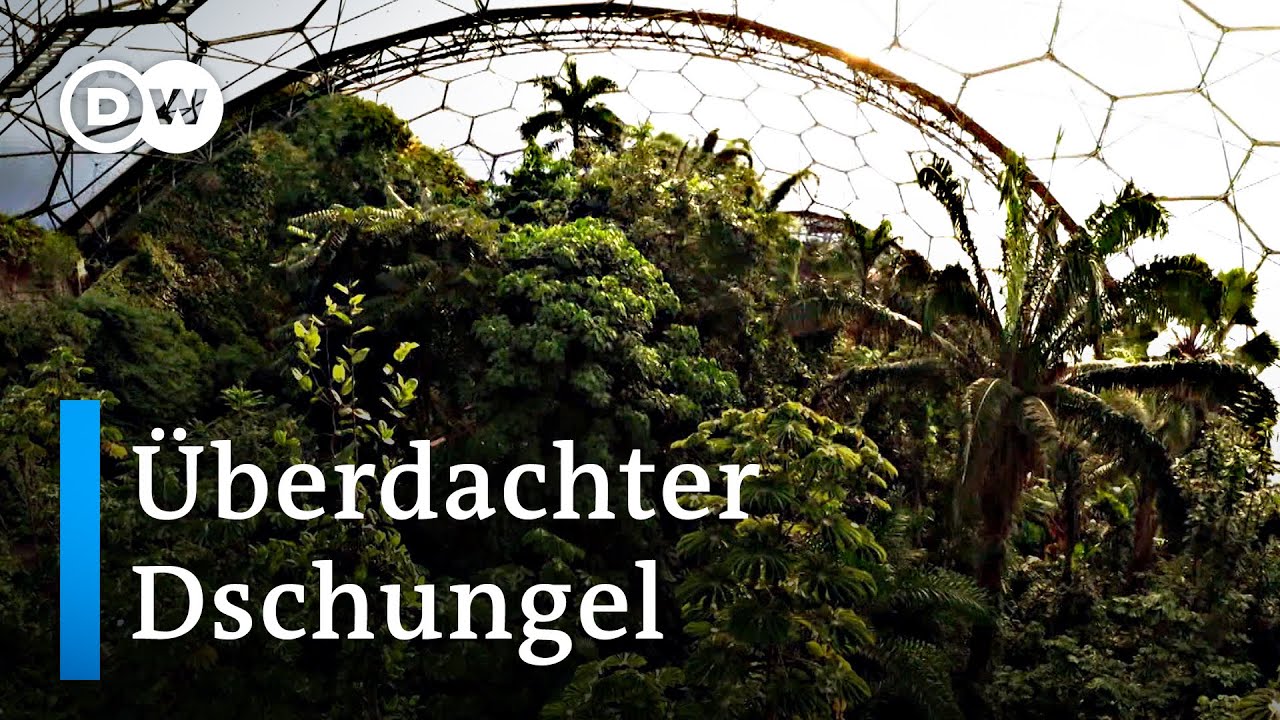 Der größte künstliche Regenwald Europas versteckt in Großbritannien | Euromaxx