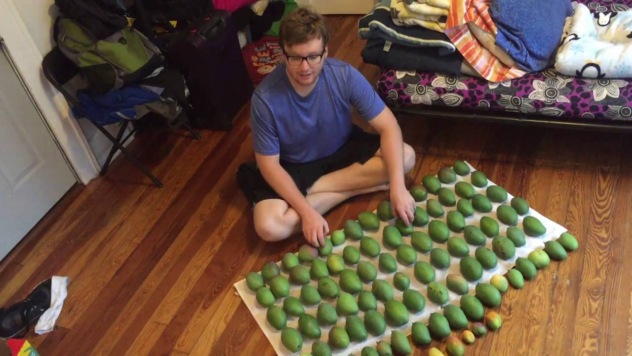 Stash of Florida Mango Drops