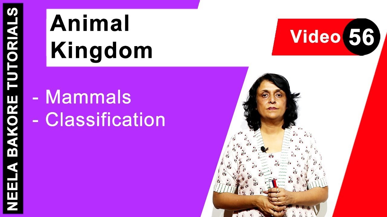 Animal Kingdom  | NEET |  Mammals - Classification | Neela Bakore Tutorials