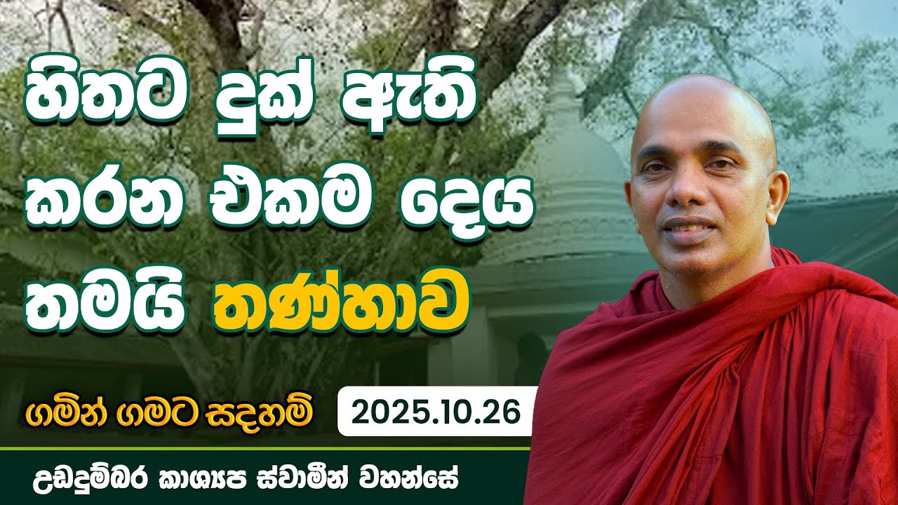 හිතට දුක් ඇති කරන එකම දෙය තණ්හාව Gamin Gamata Sadaham 2025.10.26 | උඩදුම්බර කාශ්‍යප ස්වාමීන් වහන්සේ