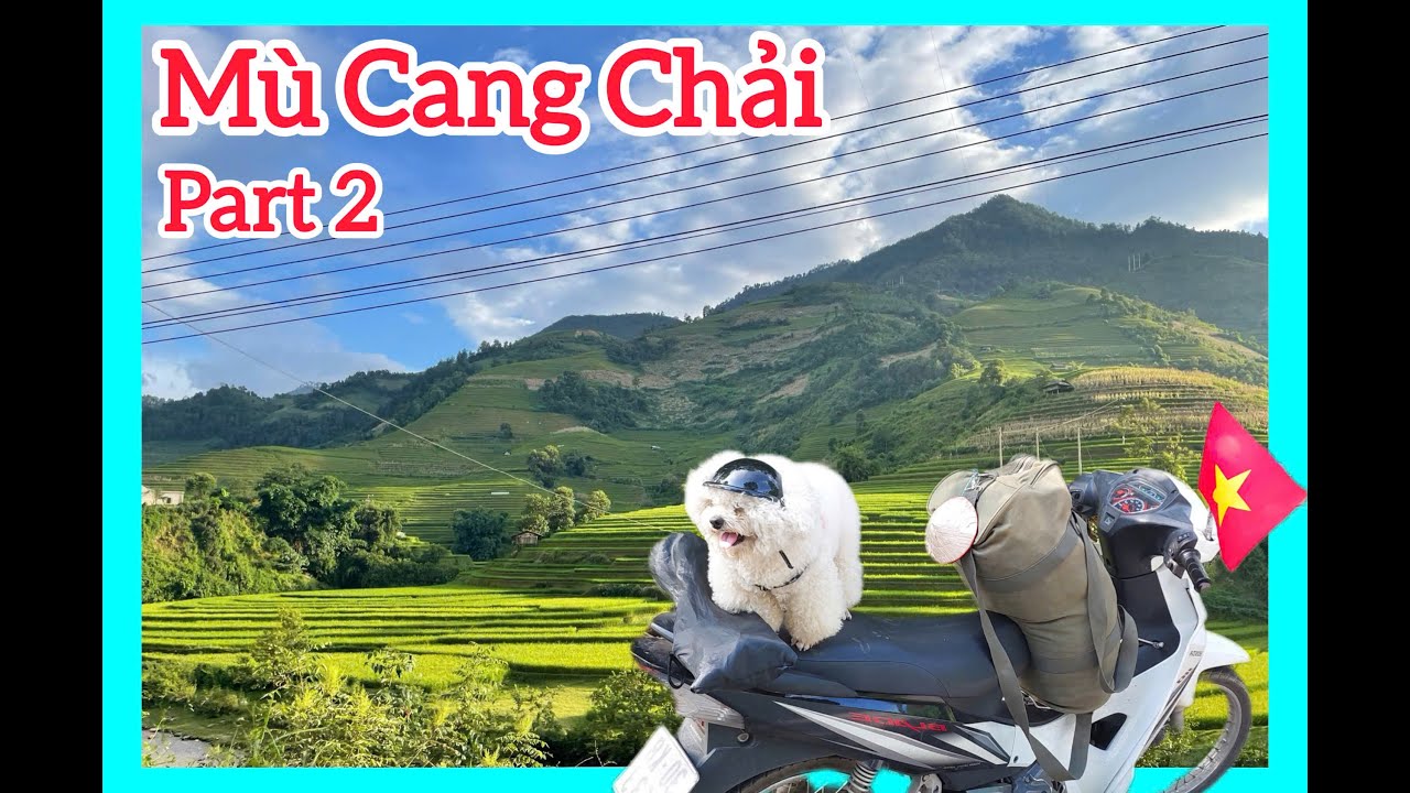 Mu Cang Chai Part 2 | Mong Ngua and the Bamboo Forest | The Craziest Road We've Ever Driven