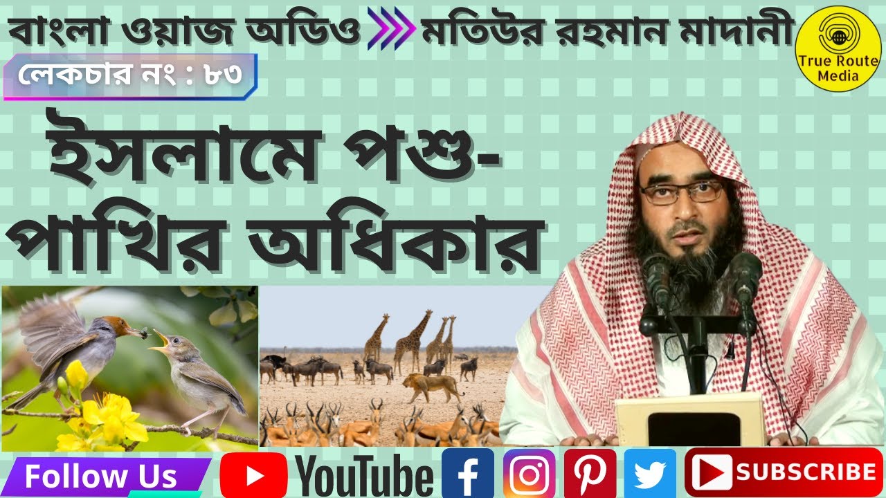 Motiur Rahman Madani Waz | ইসলামে পশু পাখির অধিকার |