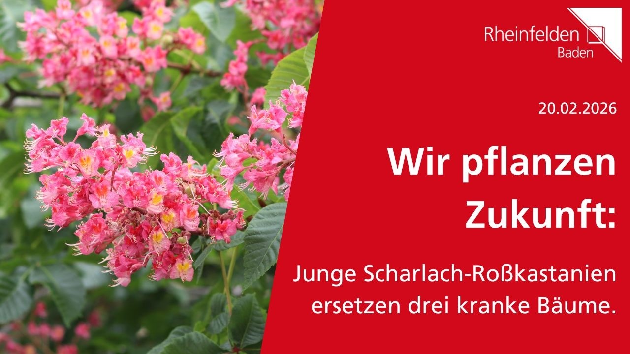 Wir pflanzen Zukunft | Stadt Rheinfelden (Baden)