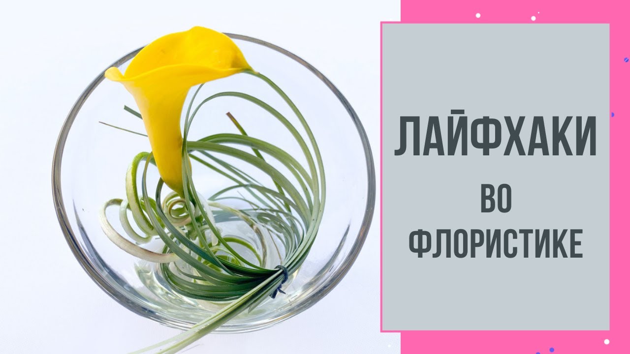 Современные аранжировки из цветов | ЛАЙФХАКИ | КАЛЛЫ во флористике