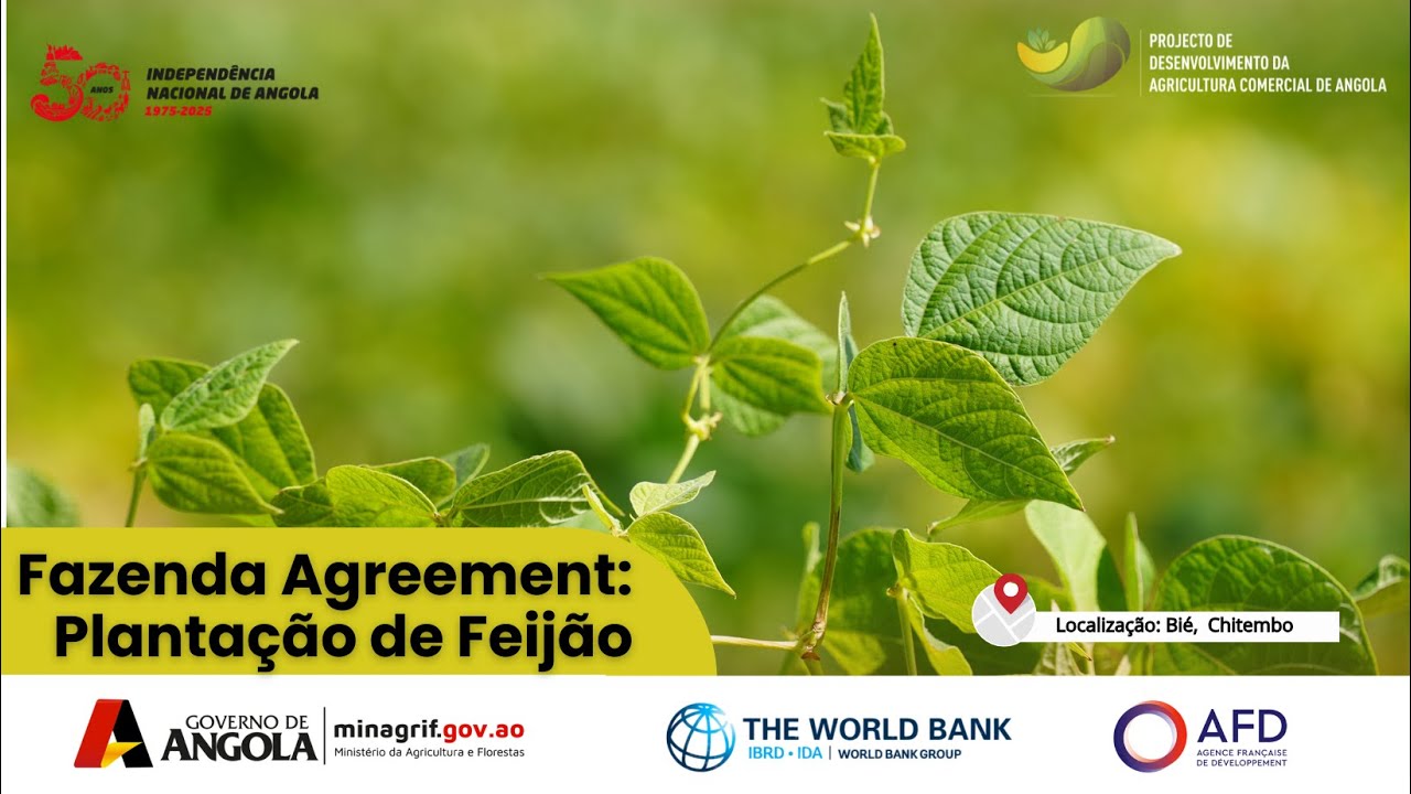 Fazenda Agreement: Plantação de Feijão