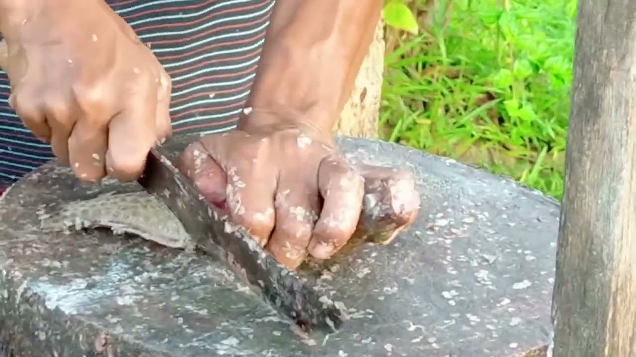 Teknik cepat bersihkan ikan kerapu macan dalam waktu 4 menit - Fish cutting skill