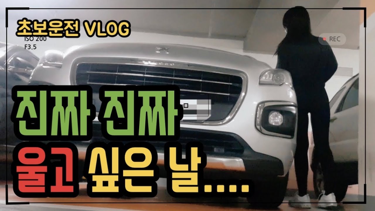 #8 초보운전브이로그 | 정면 충돌 ㅠㅠ | 산본역 다시는 못가 | 지하주차장에 혼자 주차 하기| 주행브이로그 | 초보 시내주행 | 푸조3008