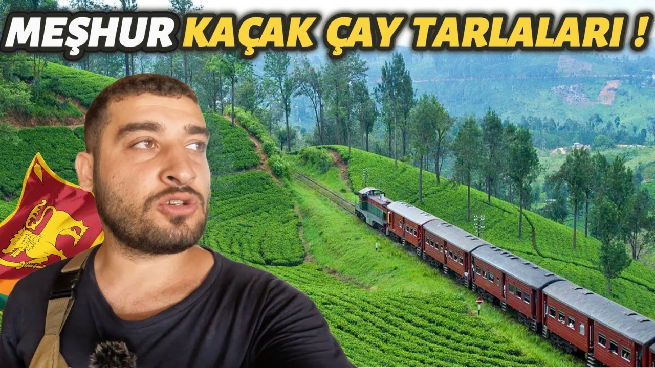 Sri Lanka’da (1 Dolara) Gece Tren Yolculuğu: Türk Lirası Değerli mi, Fiyatlar nasıl ? 188