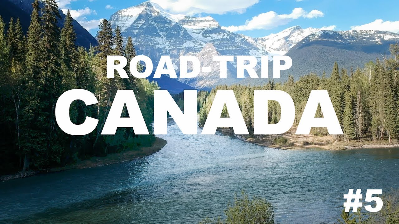Wildlife safari and Mt. Robson | ROAD-TRIP CANDA #5