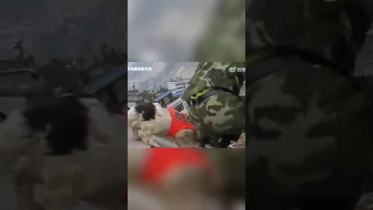 To little heroes participating in the Wenchuan Earthquake rescue